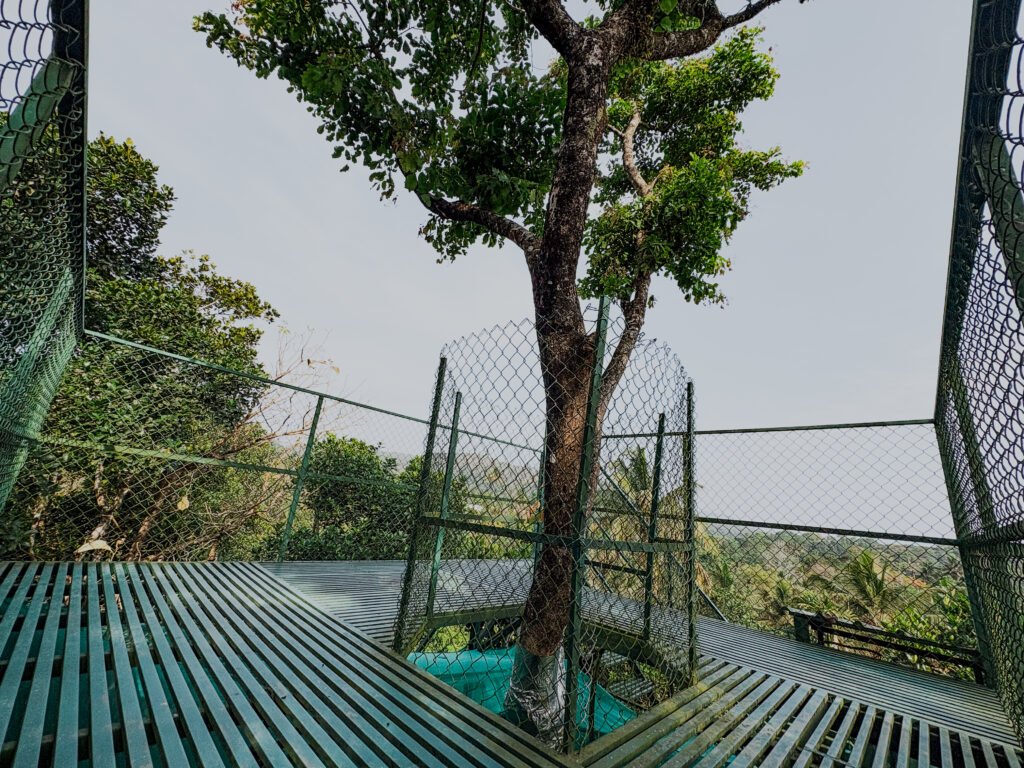 SPICEBUDS FARMSTAY